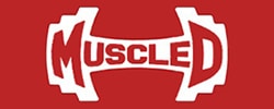 Muscle D logo